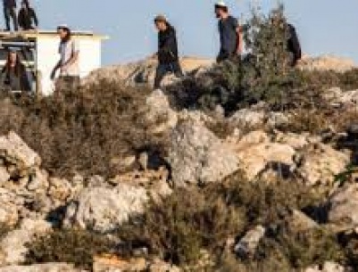 مقبرة جماعية تضم جثامين 54 شهيدا مجهولي الهوية أعادهم الاحتلال