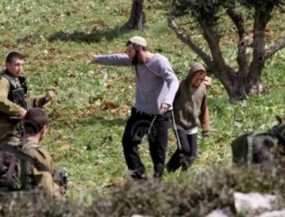 الاحتلال ومستعمروه يهاجمون قاطفي الزيتون في الخضر جنوب بيت لحم