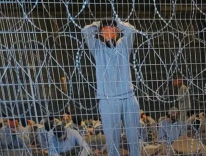 مقررة أممية: الأدلة تظهر تعذيب أسرى من قطاع غزة منذ فبراير عام 2024 وإسرائيل خارج المساءلة