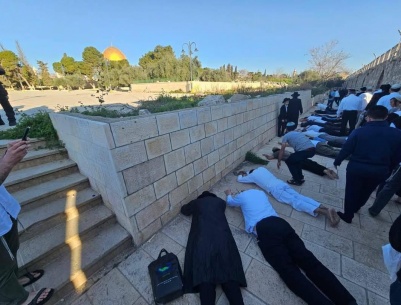 مستعمرون يقتحمون الأقصى ويؤدون السجود الملحمي