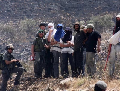 الممثلة العليا للاتحاد الأوروبي: الوضع الإنساني في غزة والضفة يتدهور بسرعة وعنف المستعمرين يتصاعد دون محاسبة