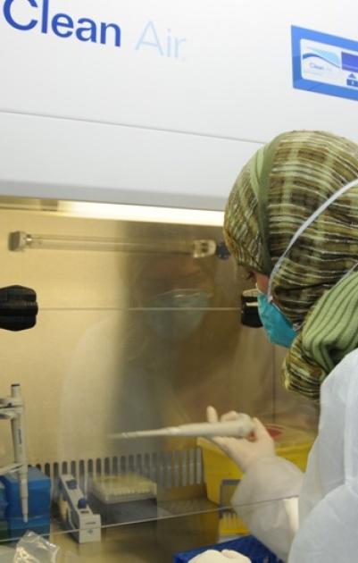 الصحة تؤكد جاهزيتها لمواجهة 