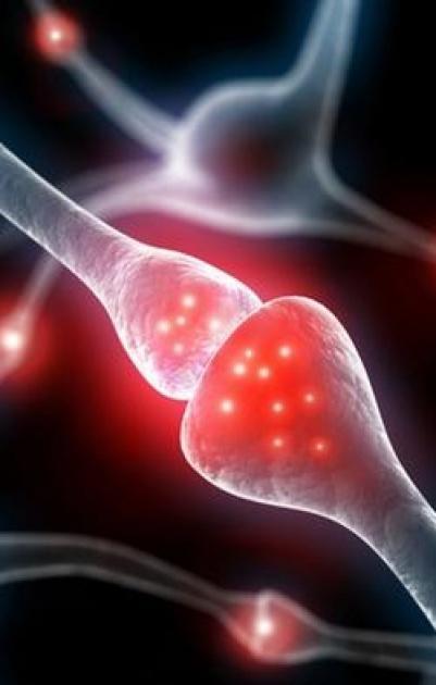 دراسة: كثرة الجلوس تقلل معدل الذكاء وتضر بالمخ