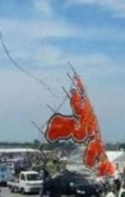 قتيل بسقوط طائرة ورقية على حشد باليابان