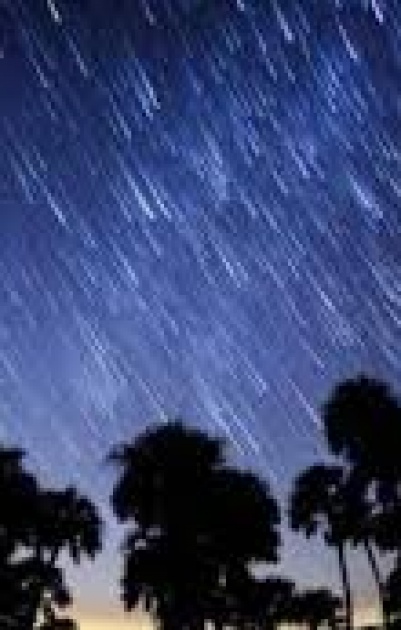 سماء فلسطين تشهد سقوط زخات من الشهب مساء اليوم