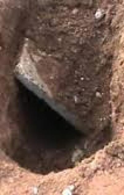 حدث في جنين- نبشوا قبر عمهم بعد دفنه