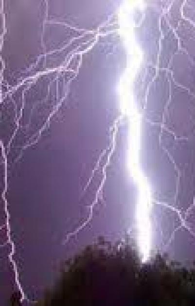 اراد التقاط 