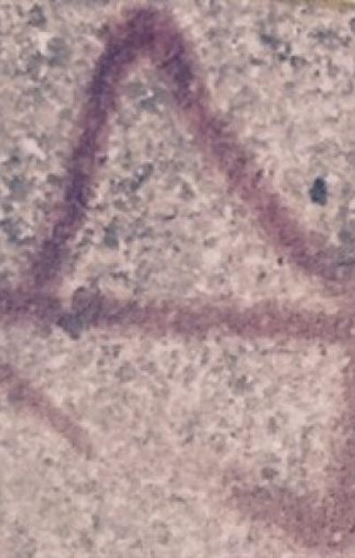 اعتقال خلية للشعبية أحرقت محطة وقود للمستوطنين قرب نابلس