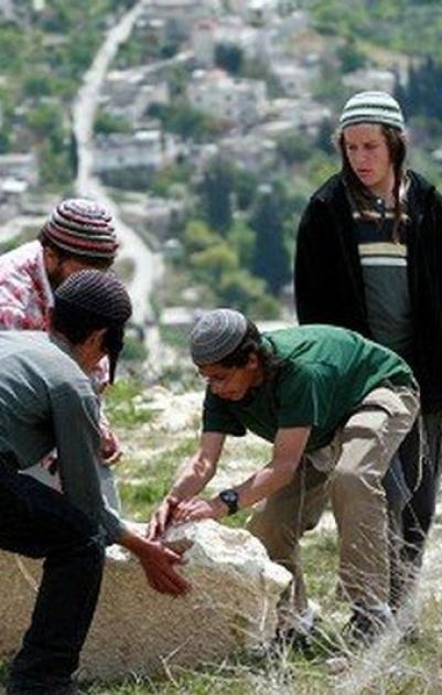 المستوطنون يهاجمون قرية كفر الديك ويقومون بقطع اشجار الزيتون بمحافظة سلفيت