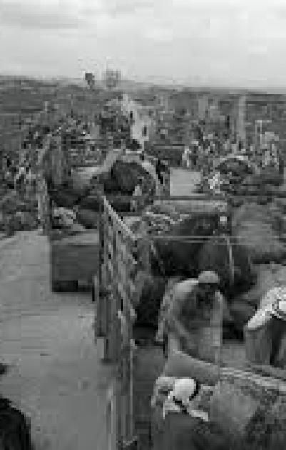 69 سنة على مجزرة الاحتلال في قرية الدوايمة