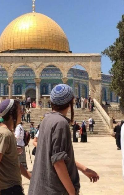 مستعمرون يقتحمون المسجد الأقصى