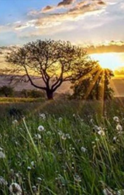 حالة الطقس: أجواء صافية ولا تغير على درجات الحرارة