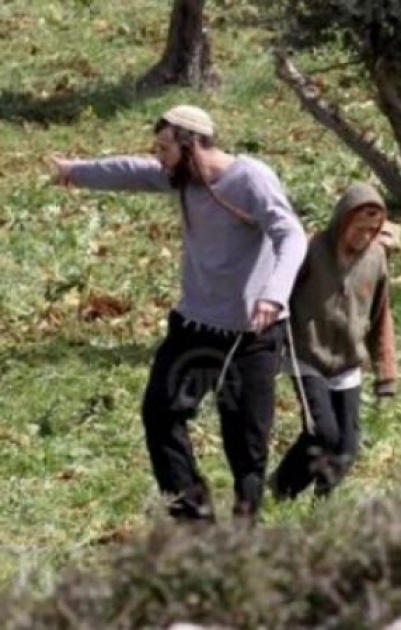 الاحتلال ومستعمروه يهاجمون قاطفي الزيتون في الخضر جنوب بيت لحم