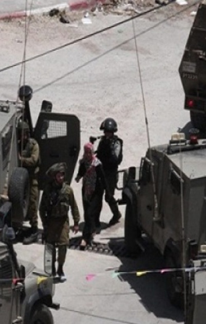  الاحتلال يعتقل مواطنا وثلاثة من أبنائه في بلدة بيت امر شمال الخليل