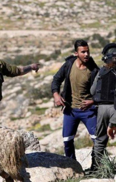 اعتقال مواطن بعد اعتداء مستوطنين على رعاة أغنام في مسافر يطا