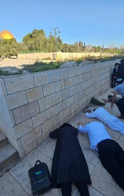 مستعمرون يقتحمون الأقصى ويؤدون السجود الملحمي
