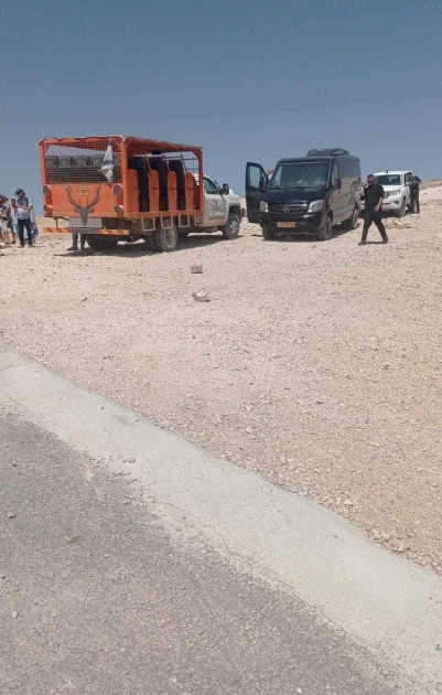 مستعمرون يقتحمون برية زعترة شرق بيت لحم