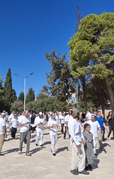 (محدث) 1271 مستعمرا يقتحمون المسجد الأقصى المبارك