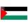 مصر: شباب يطلقون حملة لحفظ النشيد الوطني الفلسطيني