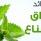 تعرف على فوائد و أضرار النعناع الأخضر