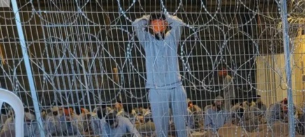 مقررة أممية: الأدلة تظهر تعذيب أسرى من قطاع غزة منذ فبراير عام 2024 وإسرائيل خارج المساءلة