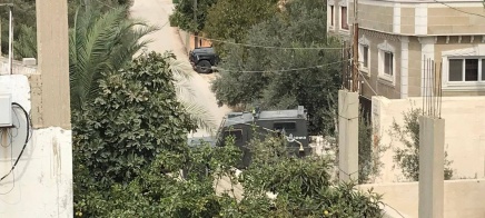 الاحتلال يداهم منتزه في ضاحية شويكة شمال طولكرم ويستولي على حيوانات برية