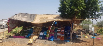 الاحتلال يخطر بإزالة عدد من بسطات الخضار في الأغوار الشمالية