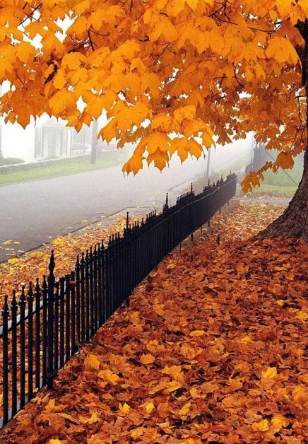 فصل الخريف يبدأ فلكياً السبت القادم