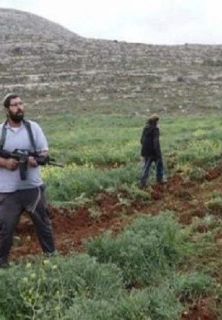 بهدف الاستيلاء عليها: مستعمرون يشرعون بتسييج أراضٍ في تقوع جنوب شرق بيت لحم