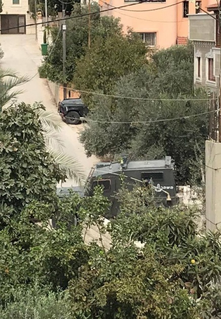 الاحتلال يداهم منتزه في ضاحية شويكة شمال طولكرم ويستولي على حيوانات برية