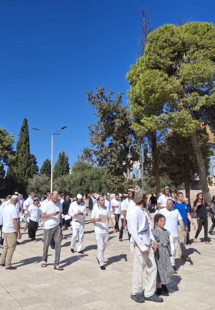 (محدث) 1271 مستعمرا يقتحمون المسجد الأقصى المبارك