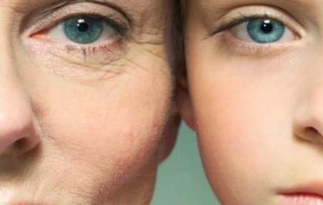 مفاجأة.. الإفراط في تناول السكر قد يسرع من شيخوخة الخلايا