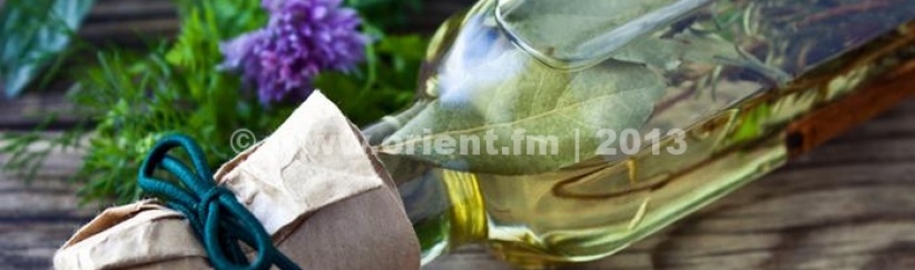 نبتة إكليل الجبل (روزماري)...لعلاج العديد من الأمراض