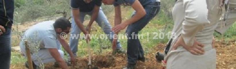 بيت جالا: زراعة اشجار في أرض مهددة بالمصادرة