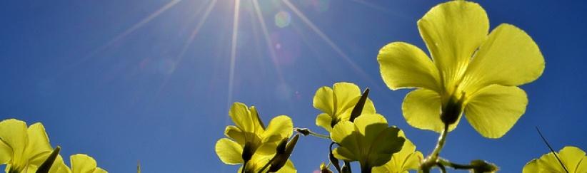 حالة الطقس لليوم الجمعة 24-5-2013