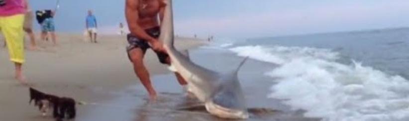 [بالفيديو].. شاب أمريكي يصطاد سمكة قرش بيديه العاريتين