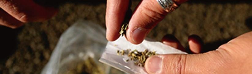 ضبط كيلو غرام ماريجوانا في بيت لحم