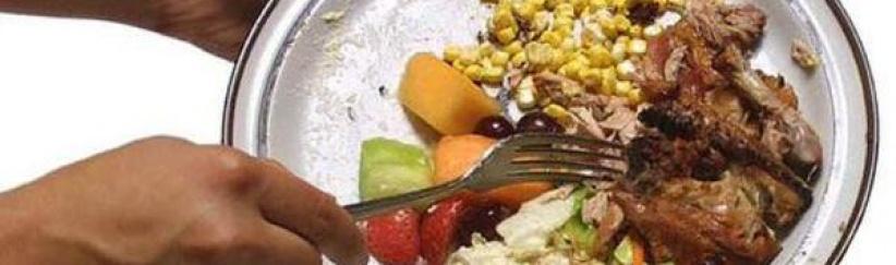 مليار طن من الغذاء يرميها العالم في القمامة سنويا