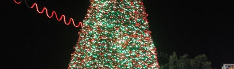 هكذا أضاءت بيت لحم شجرة الميلاد