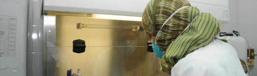 الصحة تؤكد جاهزيتها لمواجهة 