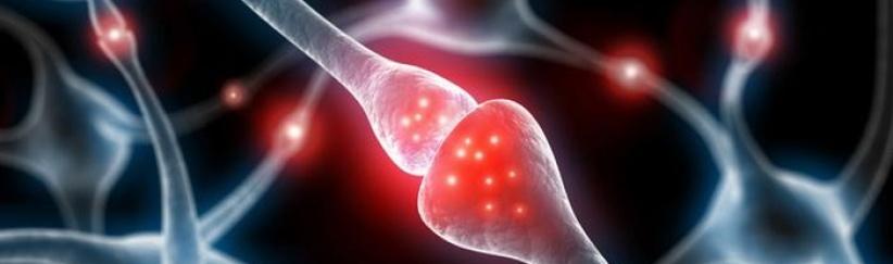 دراسة: كثرة الجلوس تقلل معدل الذكاء وتضر بالمخ