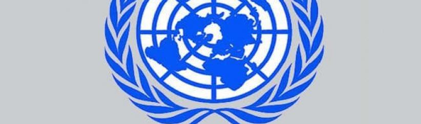 الأمم المتحدة تعتمد مشروع قرار يرحب بانضمام فلسطين للجنائية الدولية