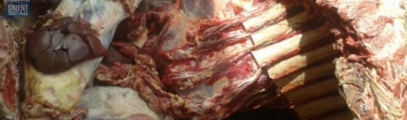 إصابة شرطي إسرائيلي في عملية دهس بالخليل