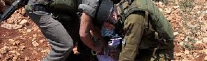قوات الاحتلال تعتقل فتيين جنوب الخليل
