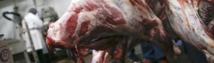 ارتفاع حاد في اسعار اللحوم قبل حلول شهر رمضان