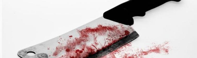 خصص لزوجته سائقا يصغرها بـ 20 عاما.. عشقته وساعدته على قتل زوجها