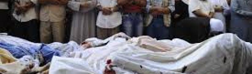 شهيد باليرموك وقصف عدة مخيمات فلسطينية بسورية