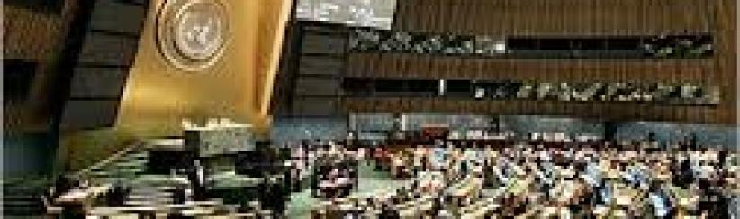 مجلس حقوق الانسان يتسلم تقرير التحقيق في عدوان غزة