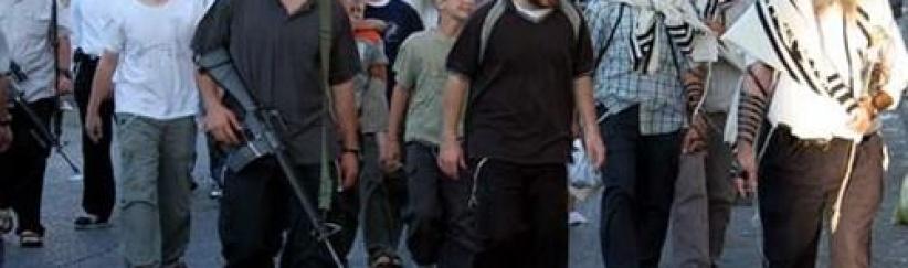 الكشف عن محاولة مستوطنين ارتكاب مجزرة جديدة في الخليل