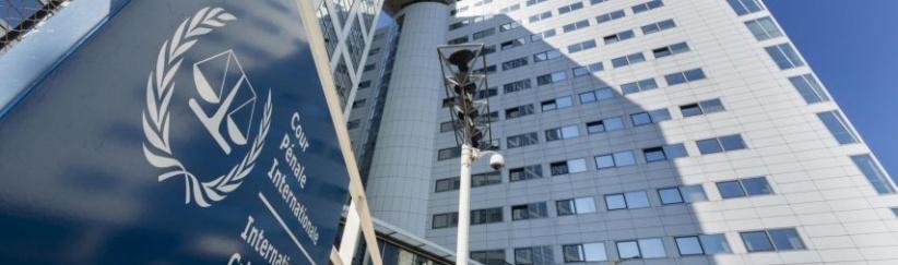 وفد من الجنايات الدولية يصل 